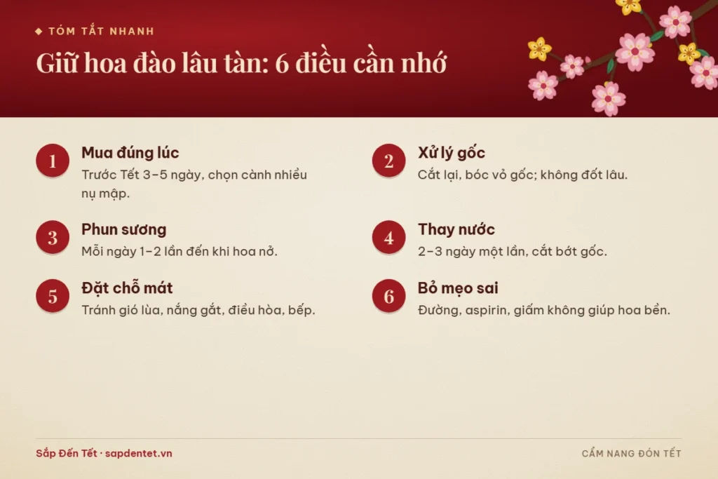 Tóm tắt 6 điều cần nhớ để giữ hoa đào lâu tàn: mua trước Tết 3–5 ngày, xử lý gốc, phun sương, thay nước, đặt nơi mát và bỏ các mẹo dân gian không hiệu quả