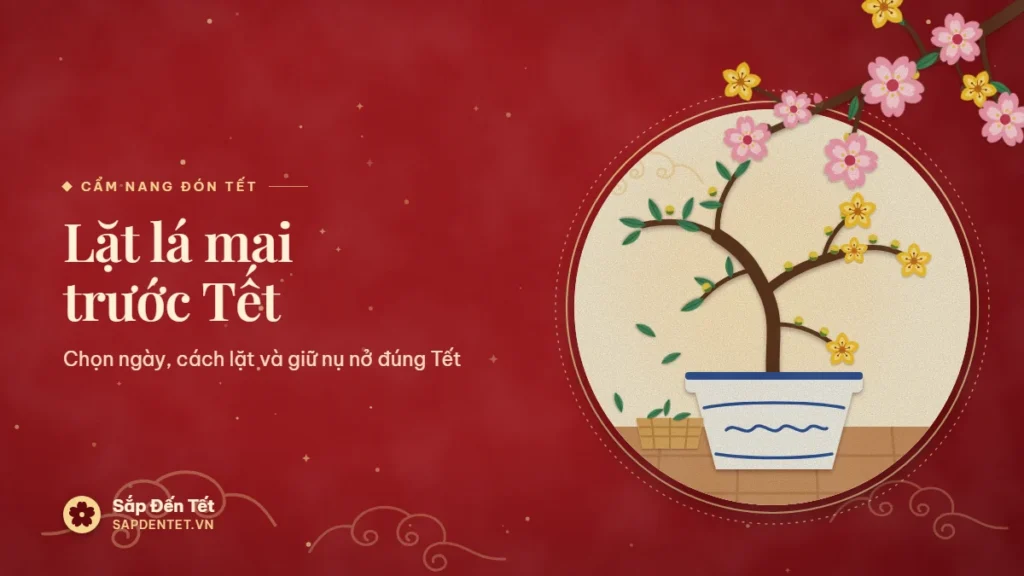 Minh họa lặt lá mai trước Tết: cây mai vàng trong chậu sứ men lam, nửa bên trái còn lá xanh, nửa bên phải đã lặt hết lá chỉ còn nụ và vài bông nở, lá rụng vào giỏ tre