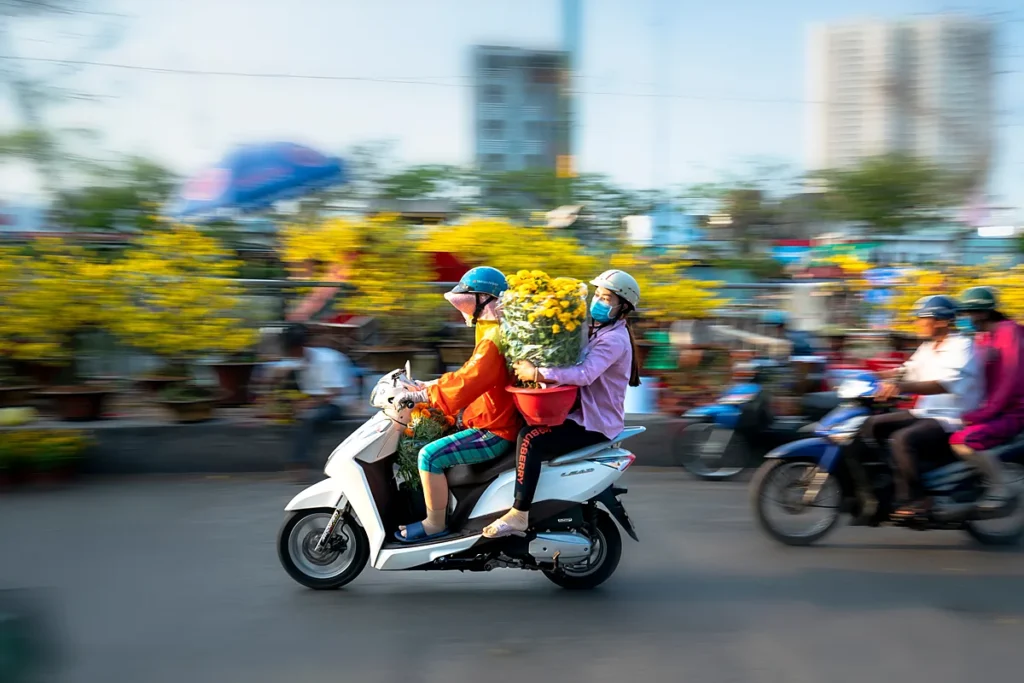 Hai người đi xe máy chở chậu cúc vàng qua chợ hoa Tết ở TP.HCM, phía sau là những chậu mai vàng